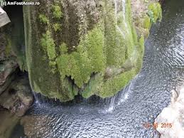 Galerie foto cu cascada bigar inainte de praubusireavem, din pacate, si o veste neplacuta. Cascada Bigar O Joaca A Naturii Impresii Cascada BigÄƒr Cheile Nerei Bozovici Cs Amfostacolo