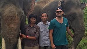 Leonardo's efforts working around the time zones for our global portfolio made everything go as well the quality of support provided by leonardo's dedicated support team is what i value most about our. 5 Kritik Leonardo Dicaprio Soal Indonesia Duh Apa Saja Ya