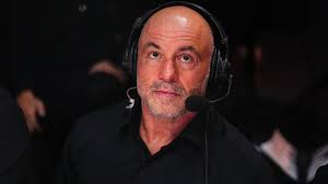 Trump harnessed the power of angry young men