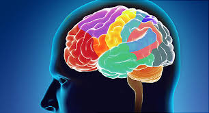 What is a brain tumor? Complications Of Brain Cancer Explained