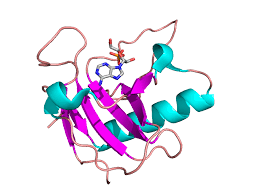 We did not find results for: Ribonuclease Wikipedia