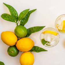 Image result for Citrus × limon