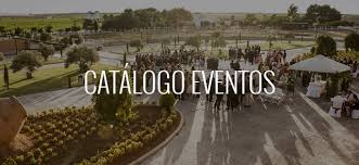 Focused on creating high quality wine but at the most reasonable price, it is a modern and functional. Descargas Finca Los Aljibes