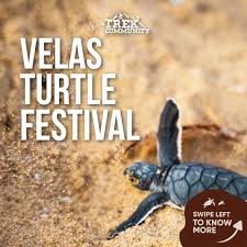 Pin By Trekcommunity In On Velas Turtle Festival Turtle Festival