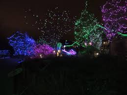 2013 Photo By Bill French Zoo Lights Denver Zoo Photo