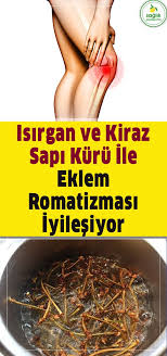 Iltihapli Eklem Romatizmasi Ve Sinir Sikismasi Sikayetlerinizden Isirgan Ve Kiraz Sapi Kuru Ile Kurtulabilirsiniz Holistic Health Natural Cures Herbal Remedies