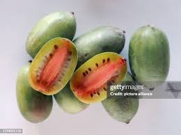 Image result for foto minikiwi