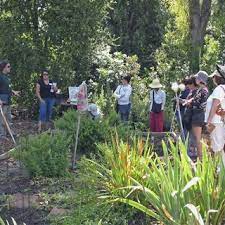 Garden steward job description resource guide for starting a community gardening sources appendix—organic gardening. Pdf Community Gardens