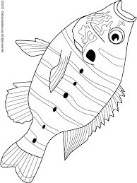 The scientific name of the ocean sunfish is mola mola. Sunfish Coloring Page Audio Stories For Kids Free Coloring Pages Colouring Printables