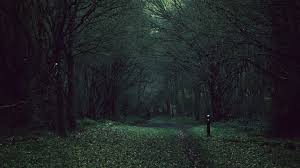 Forest Dark Anime Wallpapers Wallpaper Cave 0 anime scenery art anime scenery, scenery and ani. forest dark anime wallpapers