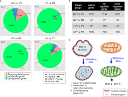 methylene blue rescues gene expression in hgps cells a