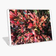 Colorful Croton Bush Laptop Skin By Anatovas In 2021 Laptop Skin Color Art Prints
