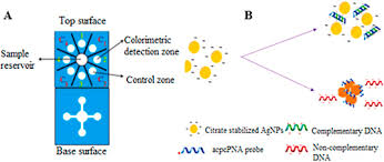 In this few / some lines on diwali, you will get information about diwali in hindi for class 2,3,4,5,6,7,8,9,10. Biosensor And Molecular Based Methods For The Detection Of Human Coronaviruses A Review Sciencedirect