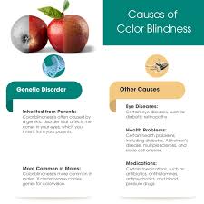 Image result for Color Blindness