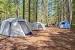Campsite