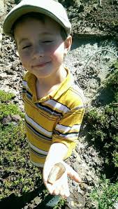 Tyrannosaur phalanx fossil found in Alberta