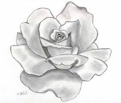 Flower Sketch Dr Odd Flower Sketch Pencil Flower Sketches Pencil Drawings Of Nature