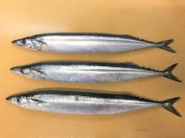 魚食普及推進センター - 大日本水産会