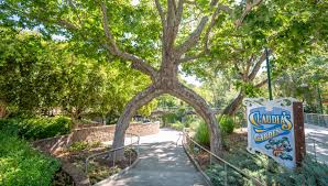 Legal Notices & Policies