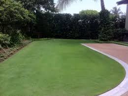 We did not find results for: Emerald Zoysia Southeastern Sod