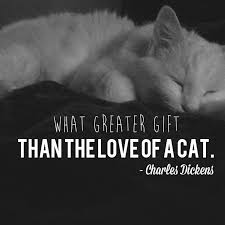 What Greater Gift Than The Love Of A Cat Charles Dickens Dickens Charles Dickens Cats