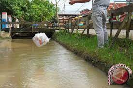 Tempat penumpukan sampah tersebut ada pada tempat pembuangan akhir (tpa). Warga Diimbau Tidak Buang Sampah Ke Sungai Antara News Kalimantan Tengah Berita Terkini Kalimantan Tengah