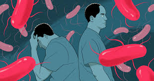 Image result for Fecal Transfer