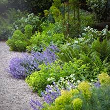 Ore Purples And Chartreuse Because I Can T Get Enough Alchemilla And Euphorbia And Ferns And Nepeta Flowing Seemlessly Into The Gravel Beaux Jardins