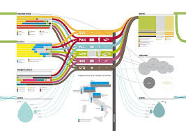 Inputs Transformation Outputs Enviromental Balance Federlegno Environmental Report 2008 T Environmental Report Information Visualization Infographic