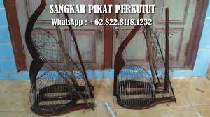 Cara mudah membuat sangkar layang tekukur. Aneka Sangkar Jebak Dan Jebak Racik Home Facebook