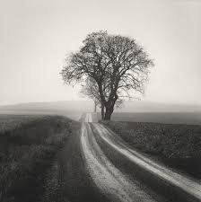 Black And White Film Photography Black And White Analog Photographs Explore The Serenity Of Long Meandering Roads Black And White Landscape Landscape Photography Nature Photography