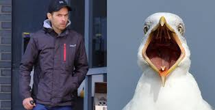 39 Year Old Man Accused Of Placing Penis Inside Seagull's Beak