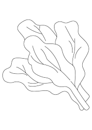 Spinach Leaves Coloring Page Coloring Pages For Kids Coloring Pages Color Know what you should do right now? spinach leaves coloring page coloring