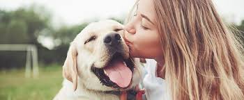 Diagnose Niereninsuffizienz So Ermoglichst Du Deinem Hund Trotz Nierenproblemen Ein Gutes Leben