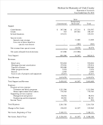 How To Create Non Profit Financial Statements 5 Best Examples Examples