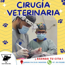 Centro Veterinario Aleán