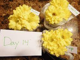 Where are the seeds found in most fruits? Easy Flower Science Fair Project Wehavekids