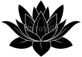 Dessins Fleurs Noir Et Blanc Recherche Google Pochoir Fleur Fleur Noir Et Blanc Nenuphar Dessin