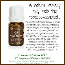 Pin On Young Living Essential Oils