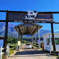 We did not find results for: Desa Cattle Dairy Farm Tempat Yang Sangat Popular Dalam Kalangan Pelancong Jika Datang Ke Sabah Anda Akan Terasa Seperti Di New Zealand Dengan Lembu Dan Udaranya Yang Sangat Nyaman Pemandangan Yang Cantik