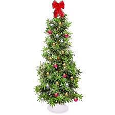 Maybe you would like to learn more about one of these? Week In Weed Walmart S Weed Themed Christmas Tree Looping Pot Shops Get Busted And Gifts For Your Stoner Buds Slog The Stranger