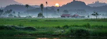 Las mejores ofertas de última hora en vuelos. Cheap Flights To Alor Setar Aor From 643 Netflights