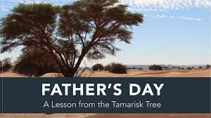 Father's Day: The Tamarisk Tree