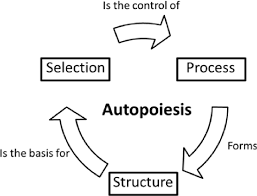 The term autopoiesis 'self', and ποίησις 'creation, production') refers to a system capable of reproducing and maintaining itself by creating its own parts and eventually further components. Organizations And Autopoiesis A Biological Perspective Semantic Scholar