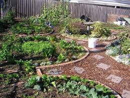 Image Result For Permaculture Garden Images Permaculture Design Garden Planning Permaculture Gardening