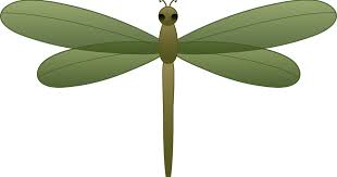 30 Gambar Capung Kartun Png 63 Timeless Cartoon Dragonfly Download Nyamuk Serangga Capung Gambar Png Download Cartoon Clipartblack Capung Kartun Gambar