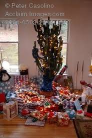 One of the most frustrating things that can happen to christmas cactus is after the flower buds have developed, they drop off the plant. Photo Of A Southweatern Christmas Tree Cactus Decorated With Ornaments And Presents