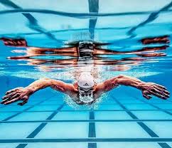 Butterfly Butterwhy Buttercry Butterdie Fotografia De Natacion Natacion De Competicion Fotografia Deportiva