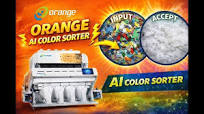 Plastic Flakes Color Sorter Machine | AI Optical Sorting Technology