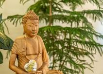 Nourishing Yoga